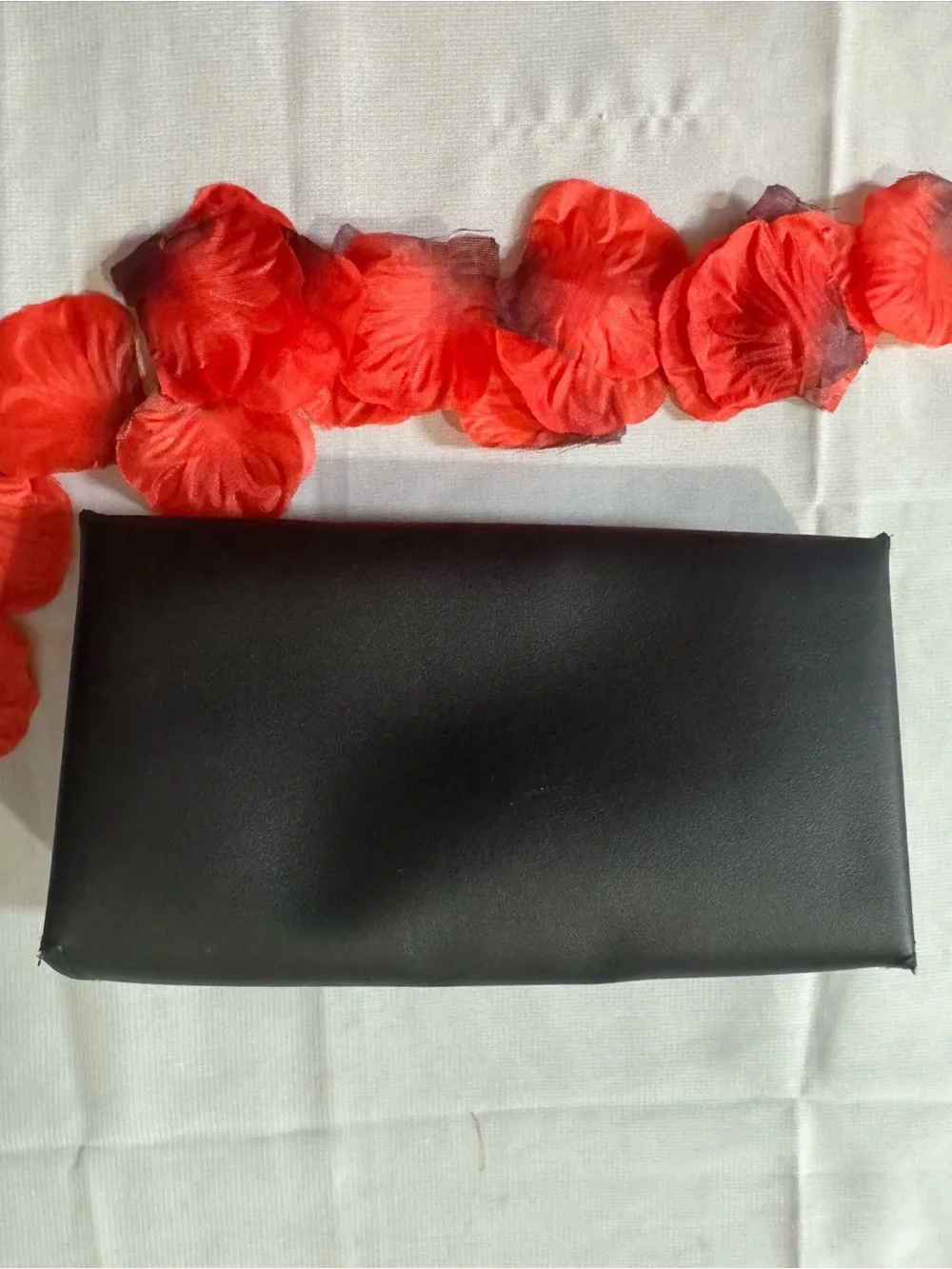 VALENTINO 💯% Authentic Eyewear Case with velvety interior - No cloth. No Box.